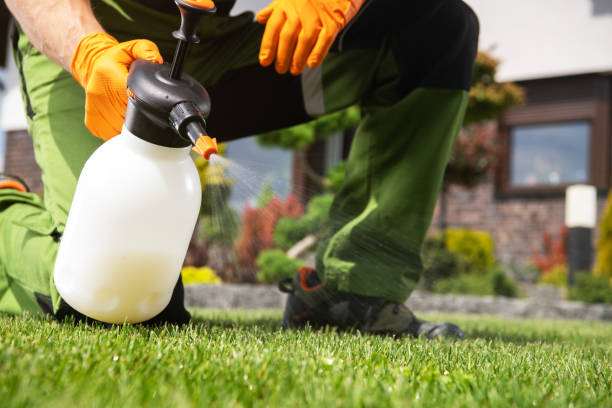 Best Residential Pest Control  in Summerfield, MD