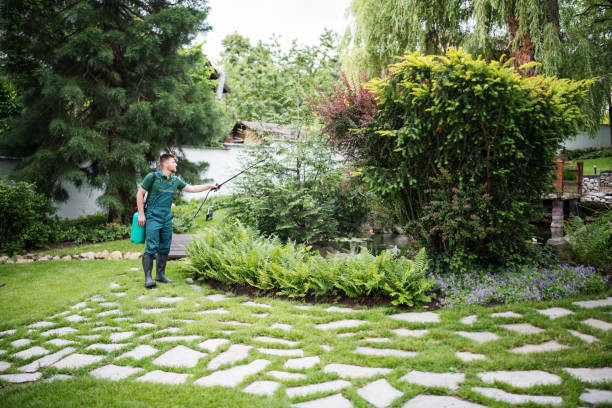 Best Pest Prevention Services  in Summerfield, MD