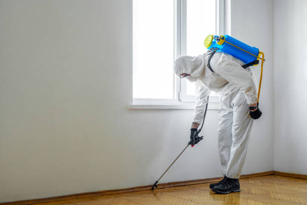 Best Flea Control Services  in Summerfield, MD