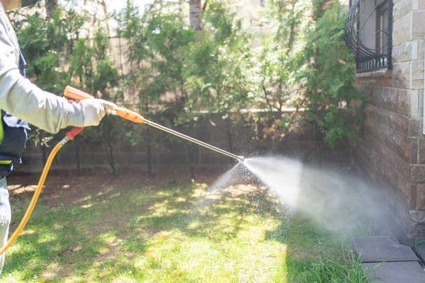 Best Mosquito Control Services  in Summerfield, MD