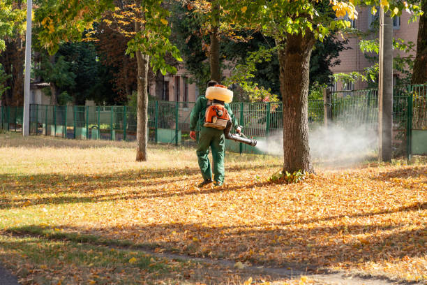 Best Bird Control  in Summerfield, MD