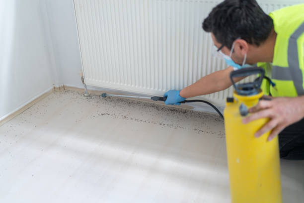 Best Pest Control for Homes  in Summerfield, MD